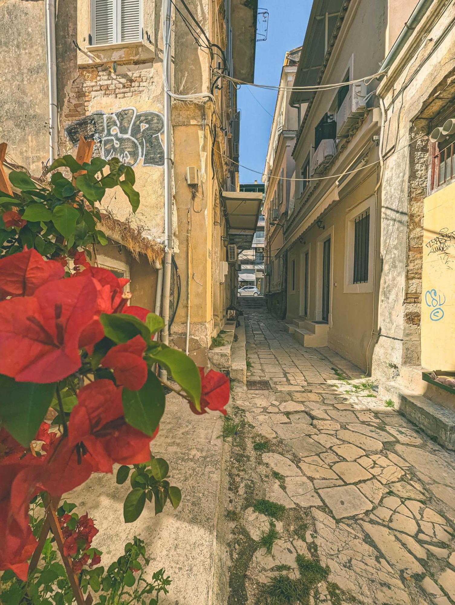 Ionian Pearl Apartments And Suites Corfu  المظهر الخارجي الصورة